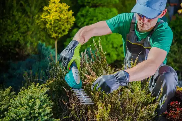 landscaping services Duson